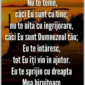 Meet your Posher, Luigi